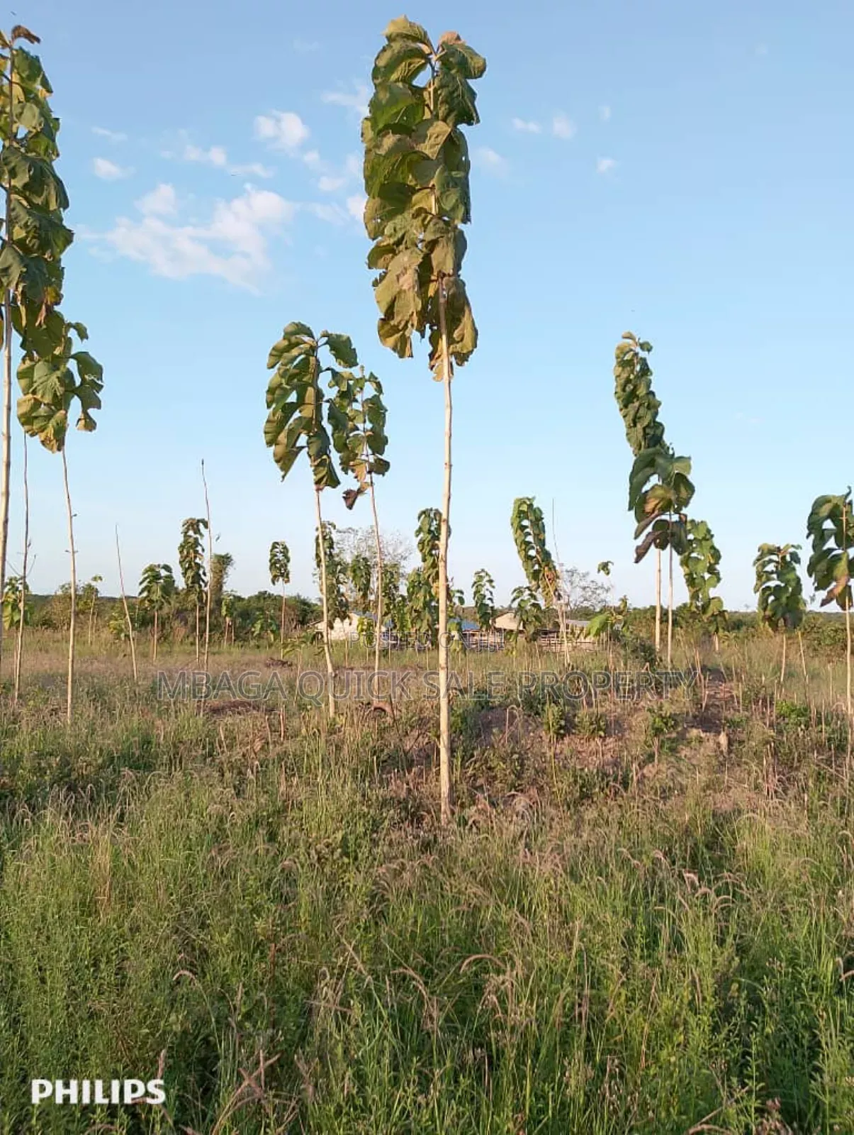 Farms With 325 Acres for Sale at Mkuranga