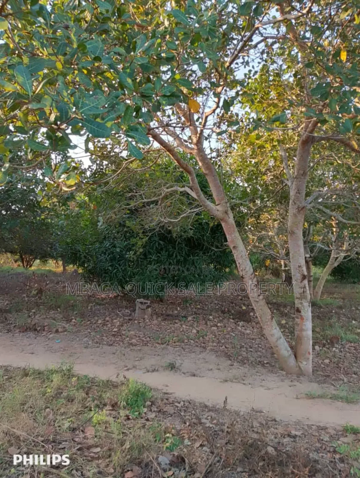 Farms With 325 Acres for Sale at Mkuranga