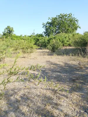 Shamba Heka 200 Linauzwa Milioni 160 Pwani Kwala.