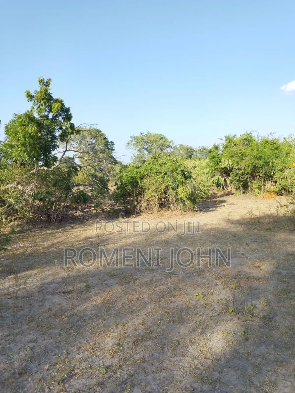 Shamba Heka 200 Linauzwa Milioni 160 Pwani Kwala.