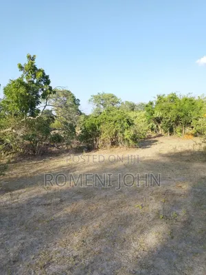 Shamba Heka 200 Linauzwa Milioni 160 Pwani Kwala.