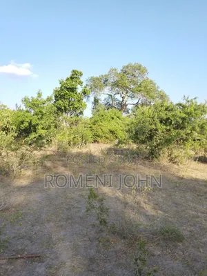 Shamba Heka 200 Linauzwa Milioni 160 Pwani Kwala.