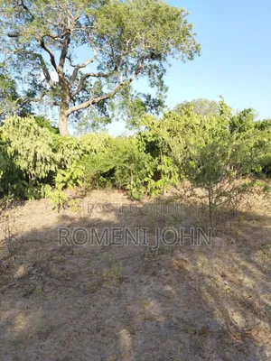 Shamba Heka 200 Linauzwa Milioni 160 Pwani Kwala.