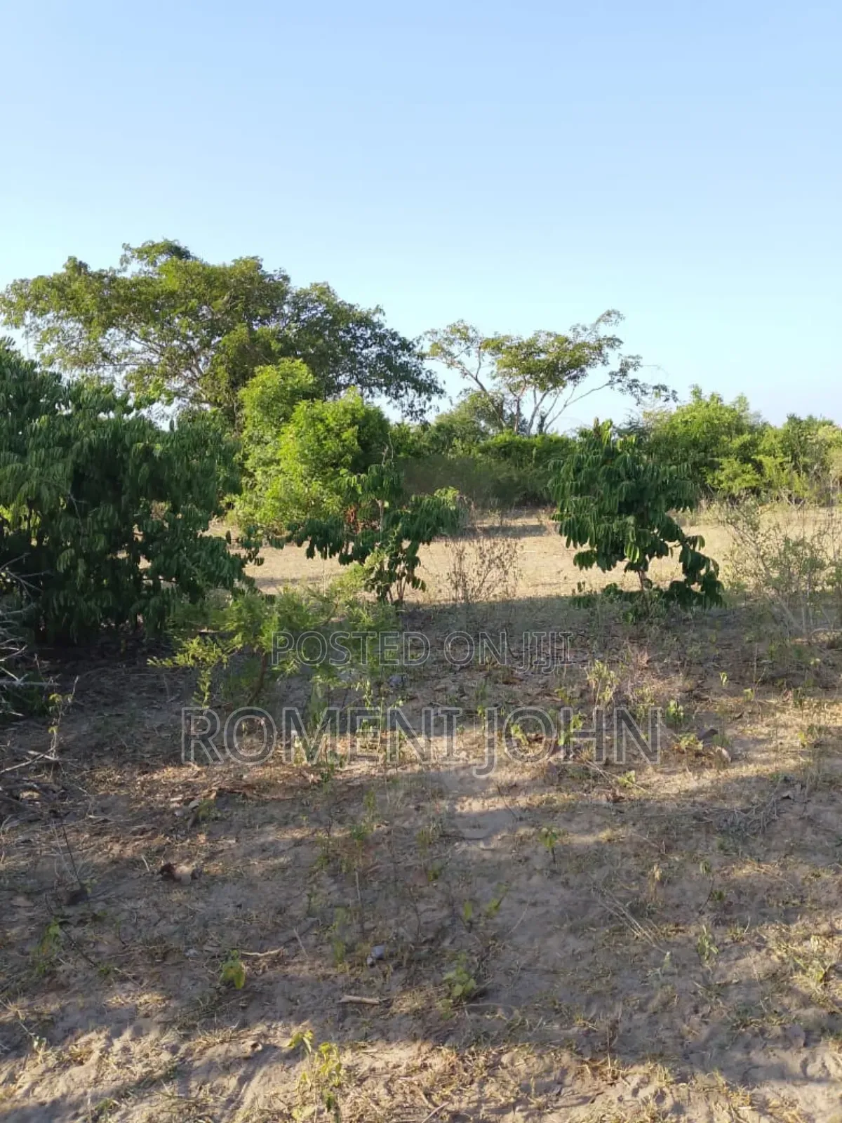 Shamba Heka 200 Linauzwa Milioni 160 Pwani Kwala.