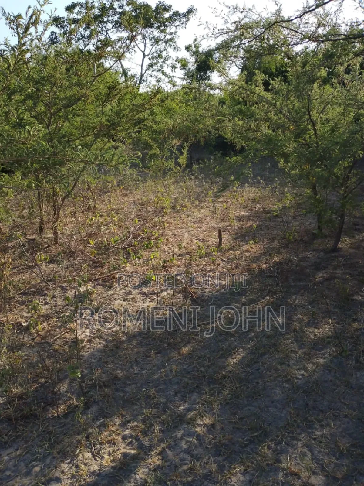 Shamba Heka 200 Linauzwa Milioni 160 Pwani Kwala.