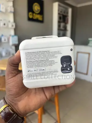 Beats Powerbeats Fit True Wireless Earbuds