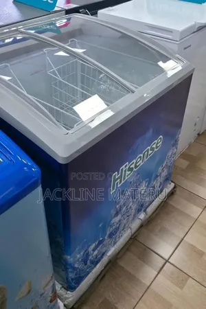 Hisense Display Freezer Fc-39 Dd (303l)