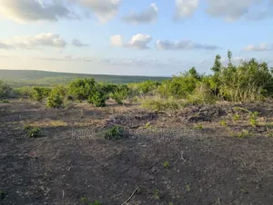 Land for Sale Located in Kiwangwa Bagamoyo, Pwani