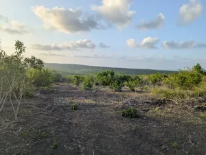 Land for Sale Located in Kiwangwa Bagamoyo, Pwani