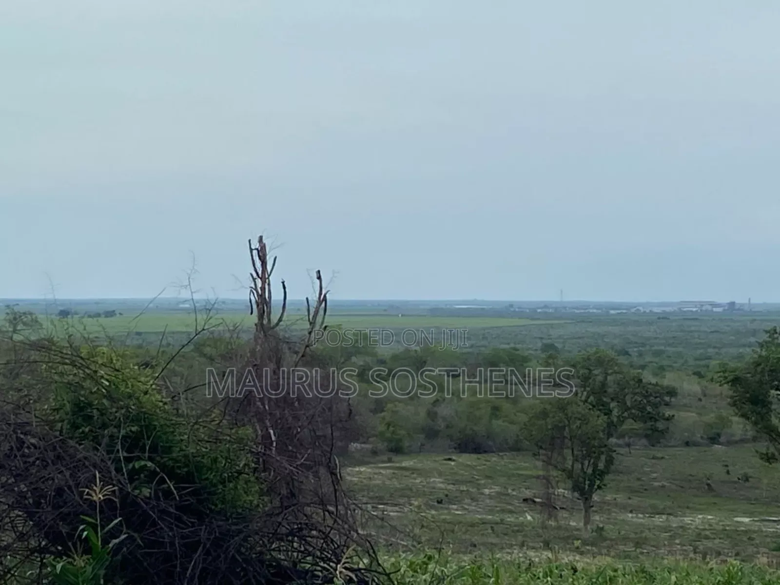 Land for Sale Located in Kiwangwa Bagamoyo, Pwani