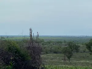 Land for Sale Located in Kiwangwa Bagamoyo, Pwani
