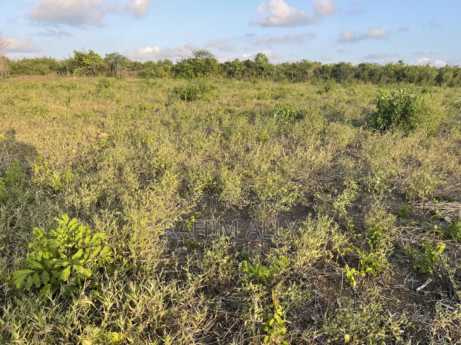 Shamba Linauzwa Bago Hekari 40