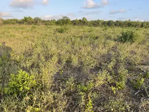 Shamba Linauzwa Bago Hekari 40