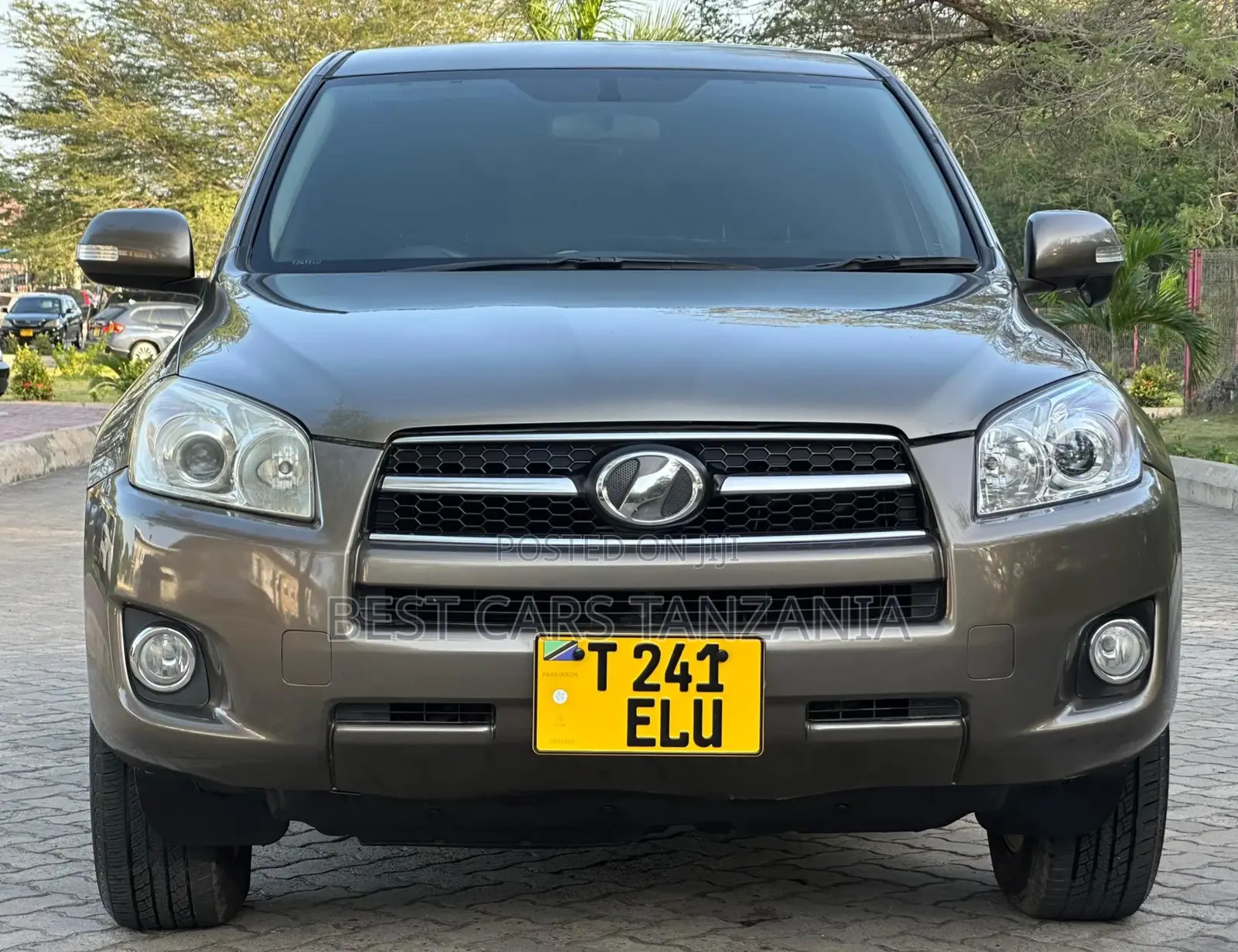 Toyota RAV4 2009 Brown
