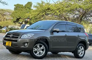 Toyota RAV4 2009 Brown