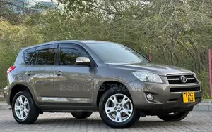 Toyota RAV4 2009 Brown