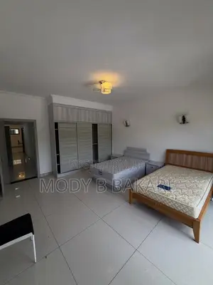 Furnished 3bdrm Apartment in Masaki for rent