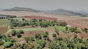 Farm for Sale at West Kilimanjaro