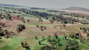 Farm for Sale at West Kilimanjaro