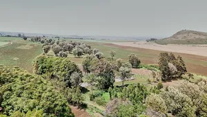 Farm for Sale at West Kilimanjaro