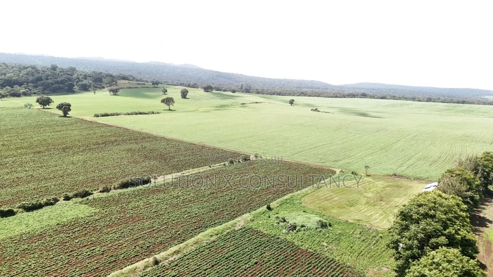 Farm for Sale at West Kilimanjaro