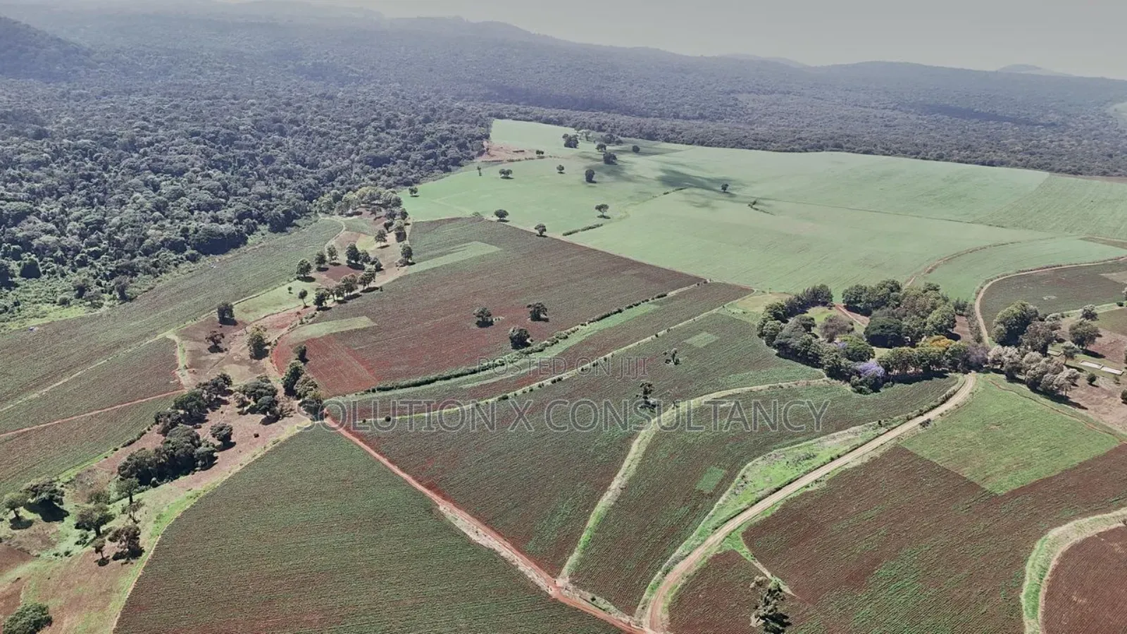 Farm for Sale at West Kilimanjaro