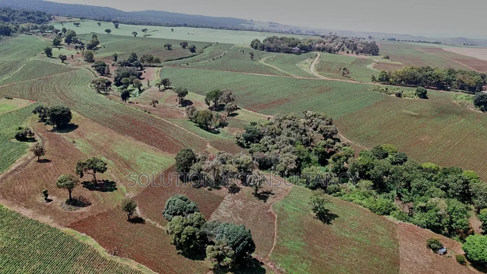 Farm for Sale at West Kilimanjaro