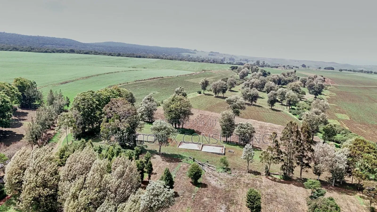 Farm for Sale at West Kilimanjaro