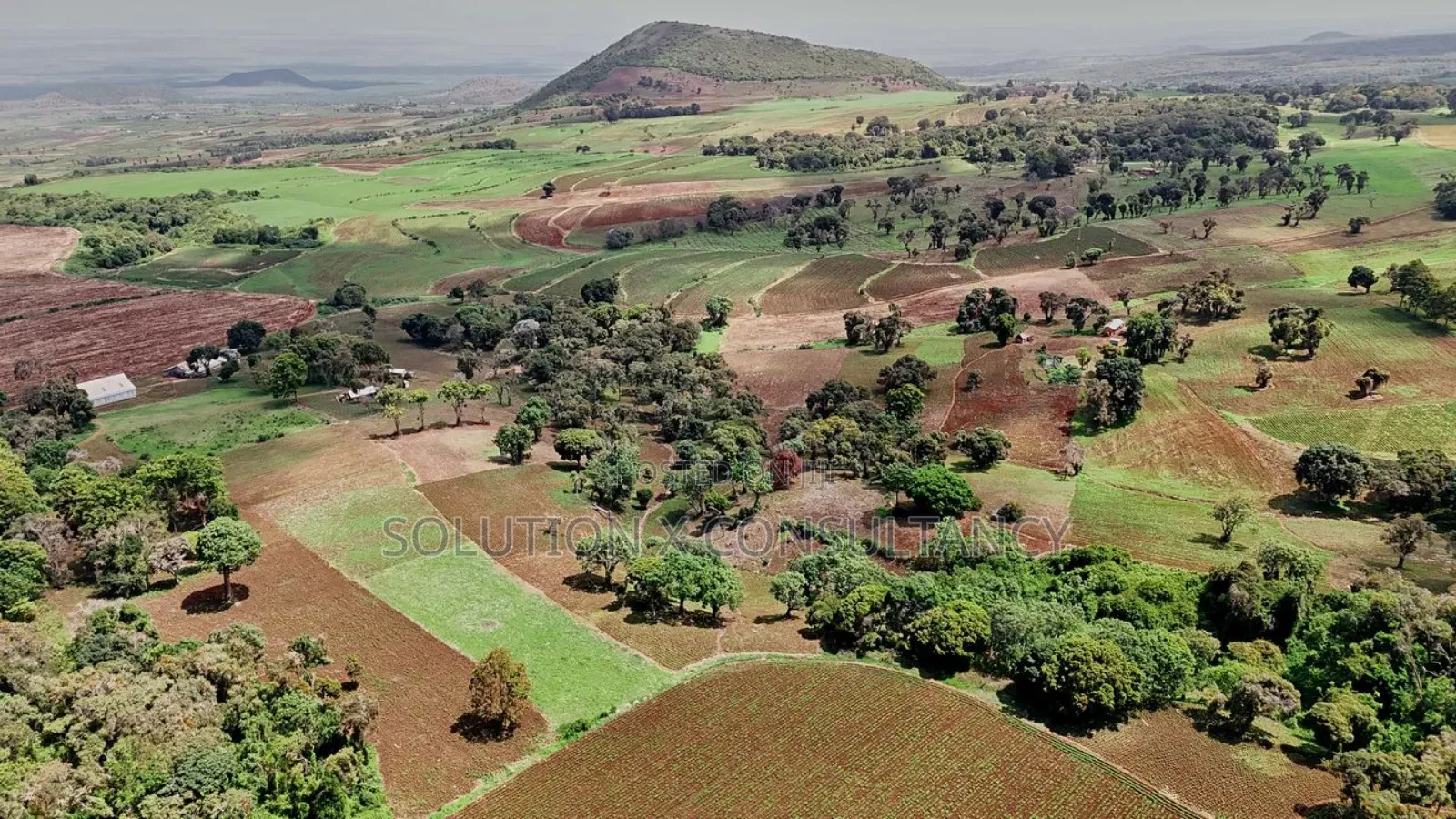 Farm for Sale at West Kilimanjaro
