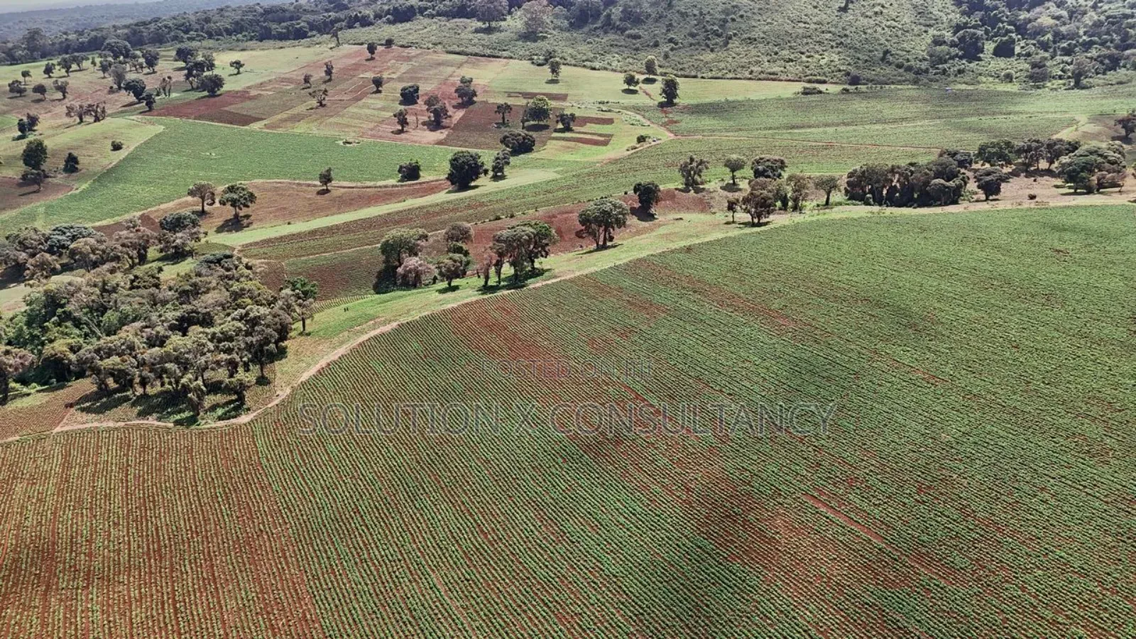 Farm for Sale at West Kilimanjaro