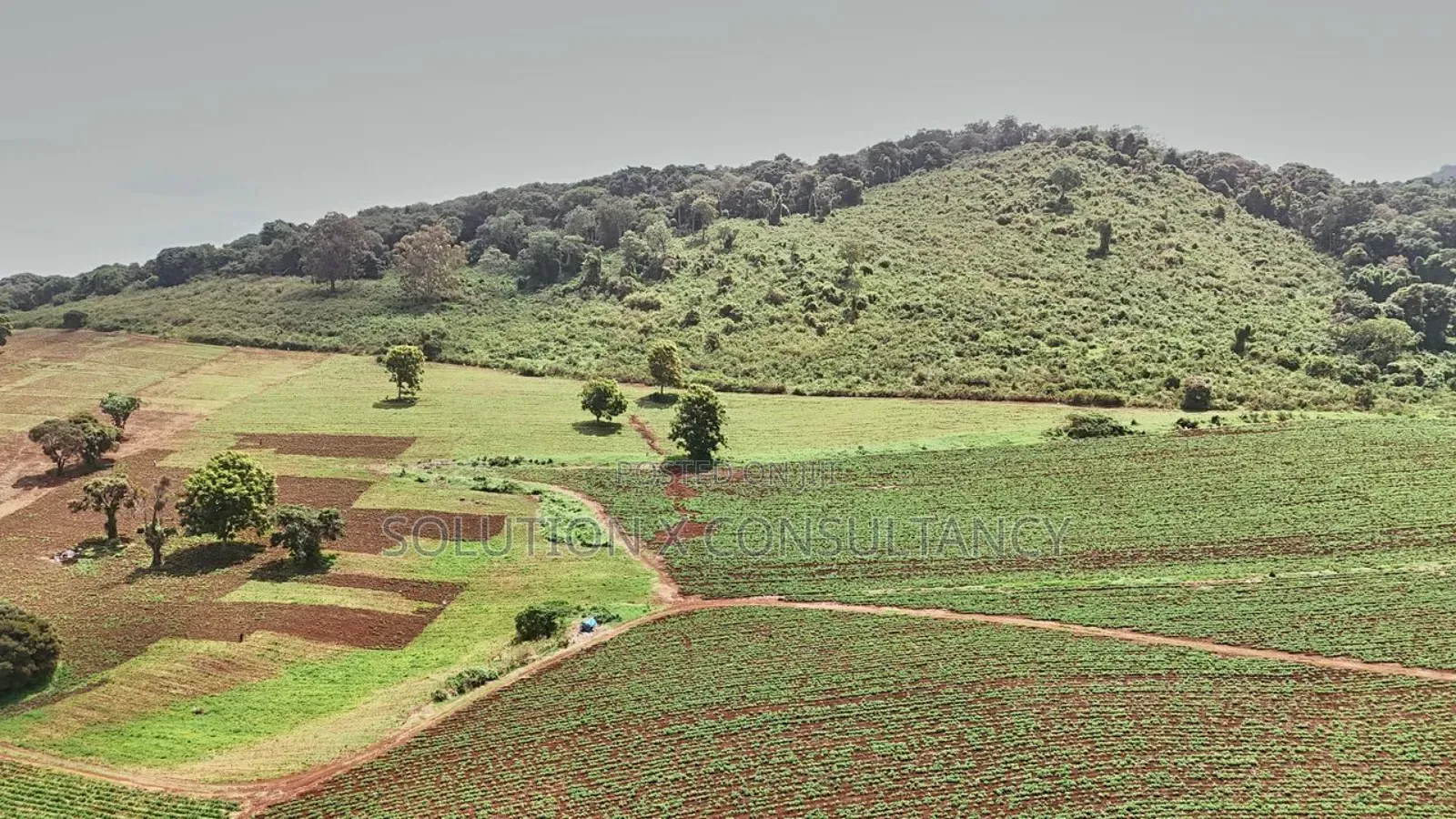Farm for Sale at West Kilimanjaro