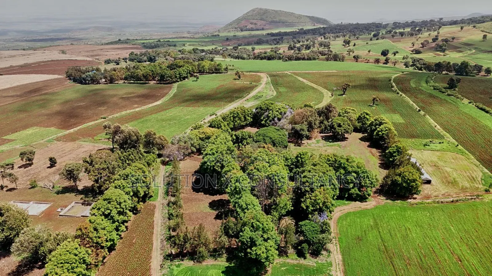 Farm for Sale at West Kilimanjaro