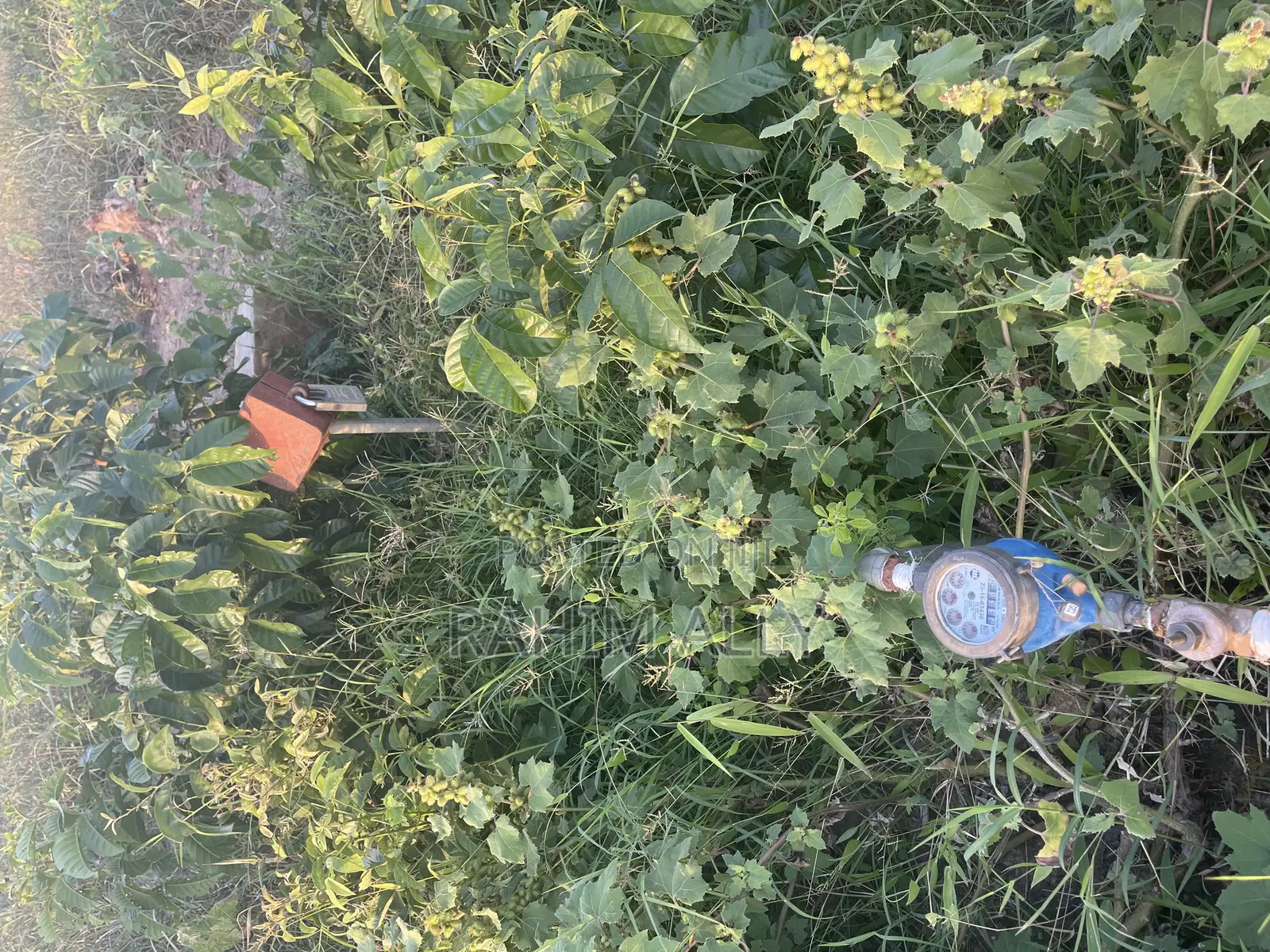 Shamba Linauzwa Bago Hekari 40