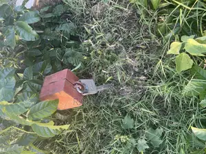 Shamba Linauzwa Bago Hekari 40