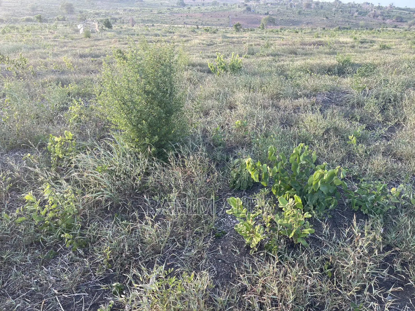 Shamba Linauzwa Bago Hekari 40