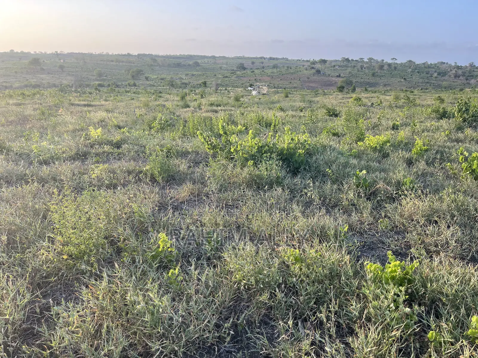Shamba Linauzwa Bago Hekari 40