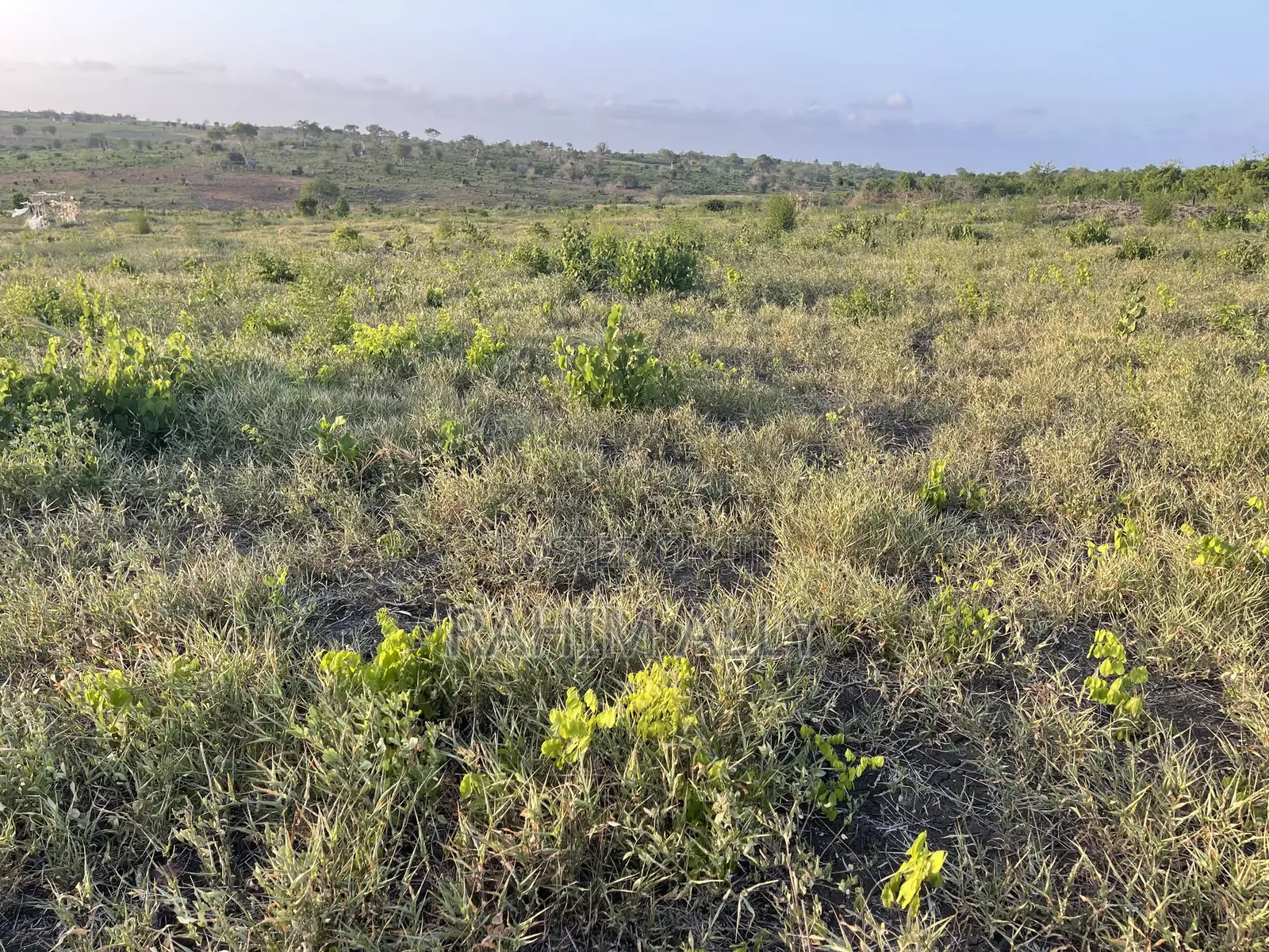 Shamba Linauzwa Bago Hekari 40