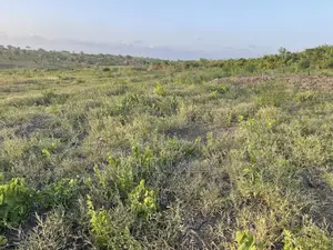 Shamba Linauzwa Bago Hekari 40