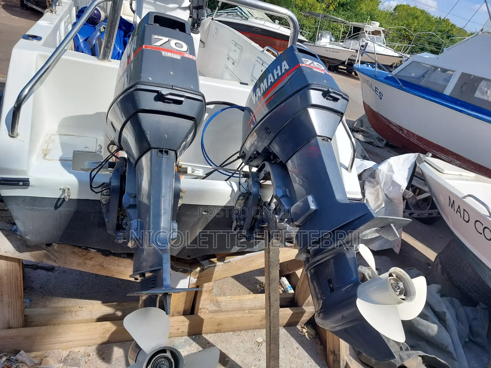 Great Sports Fishing and Leisure Boat