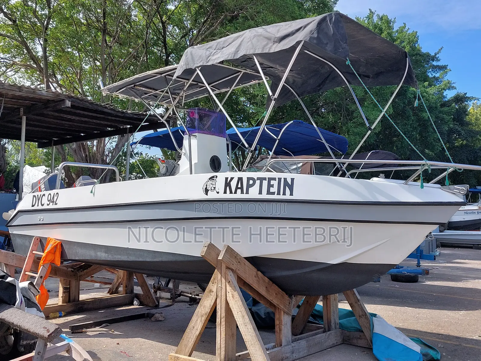 Great Sports Fishing and Leisure Boat