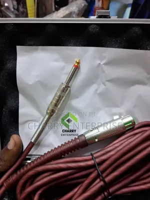 Original Sennheiser E 838ii-S Dynamic Cardioid Wired Mic From Germany