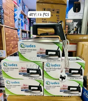 Qiudes Electric Steam Iron/Pasi Original