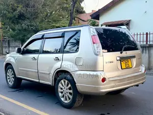 Nissan X-Trail 2.0 2006 Silver