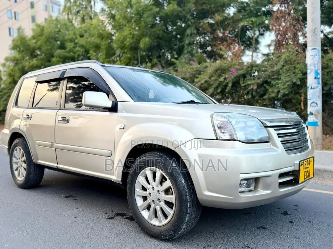 Nissan X-Trail 2.0 2006 Silver