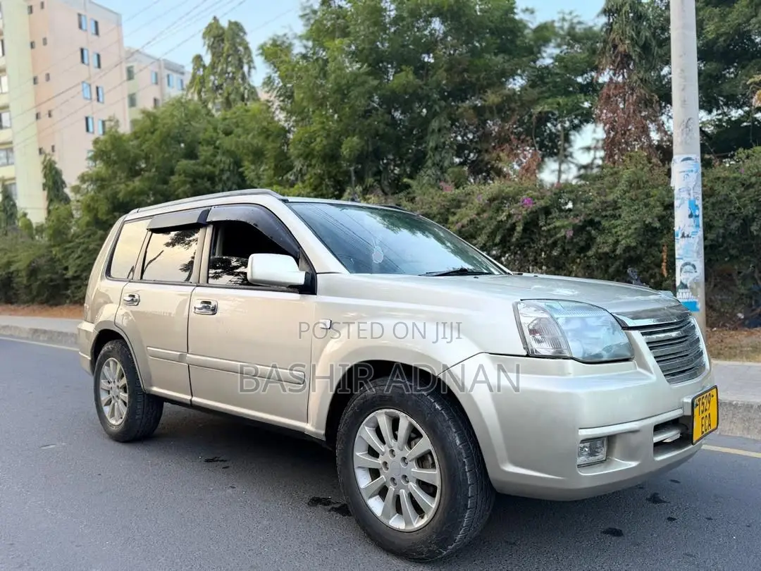 Nissan X-Trail 2.0 2006 Silver