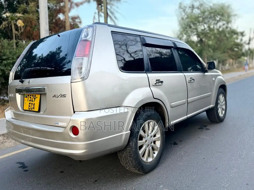Nissan X-Trail 2.0 2006 Silver