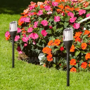 Your Garden Is Beautiful Let It Show At Night