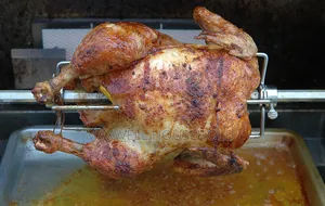 Elcric Oven