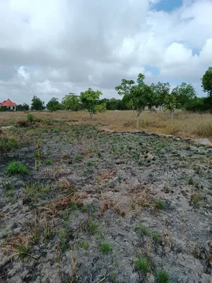 Commercial 15 Acres for Sale Kigamboni Mwanzo Mgumu