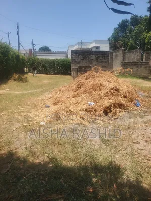 Kiwanja Kizuri Kwa Ajili Ya Makazi